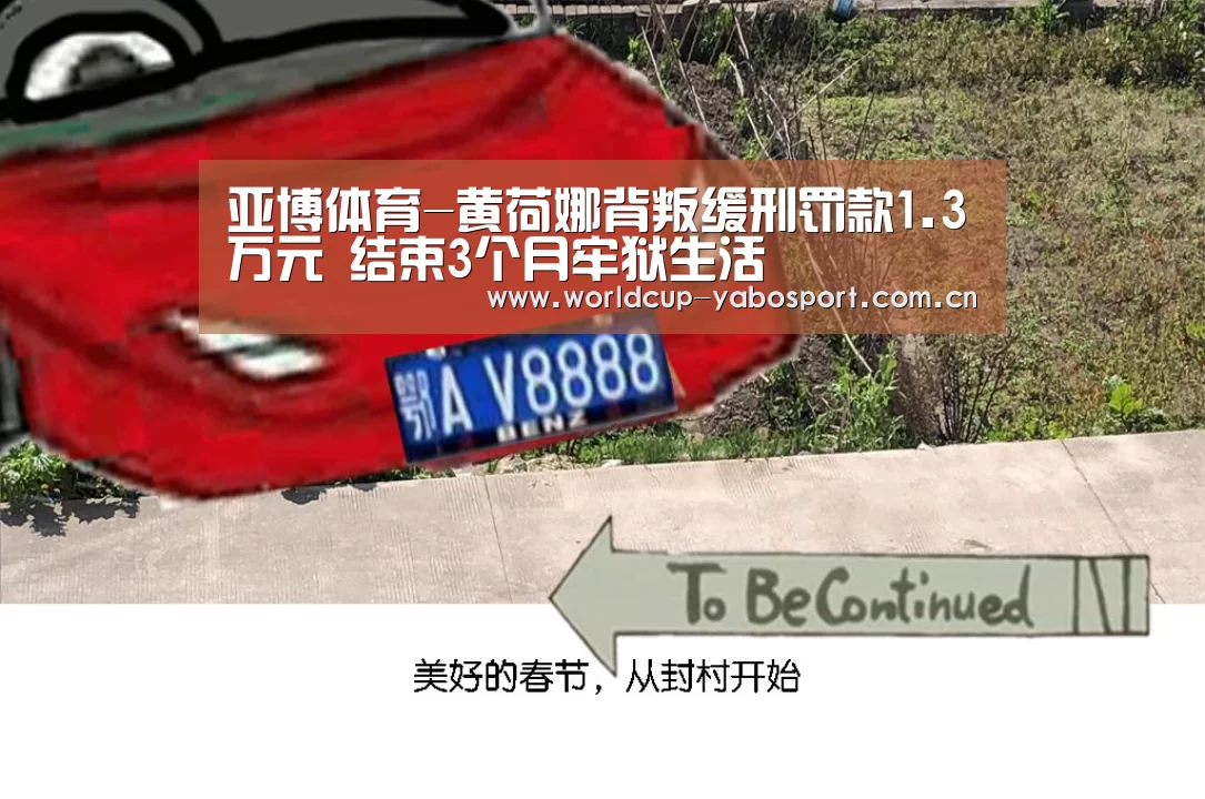 亚博体育-黄荷娜背叛缓刑罚款1.3万元 结束3个月牢狱生活(图3) 亚博