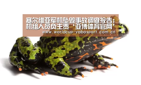 塞尔维亚军机坠毁事故调查报告:机组人员负主责‘亚博体育官网’(图2) 亚博体育