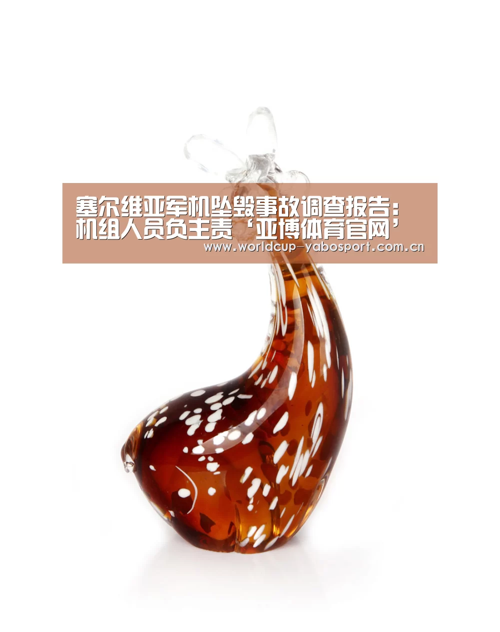 塞尔维亚军机坠毁事故调查报告:机组人员负主责‘亚博体育官网’(图3) 亚博