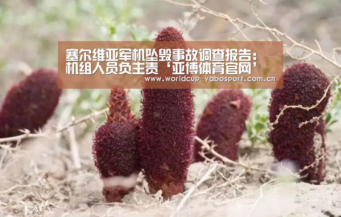 塞尔维亚军机坠毁事故调查报告:机组人员负主责‘亚博体育官网’(图1) 亚博体育