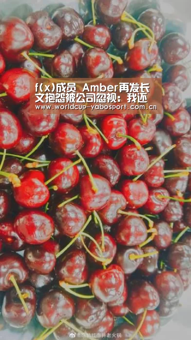 f(x)成员 Amber再发长文抱怨被公司忽视:我还要再做什么_亚博官网(图3) 亚博