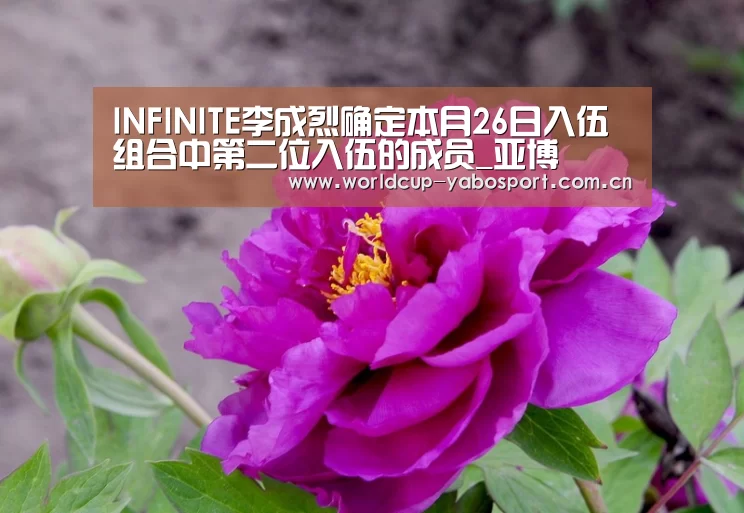 INFINITE李成烈确定本月26日入伍 组合中第二位入伍的成员_亚博(图2) 亚博体育