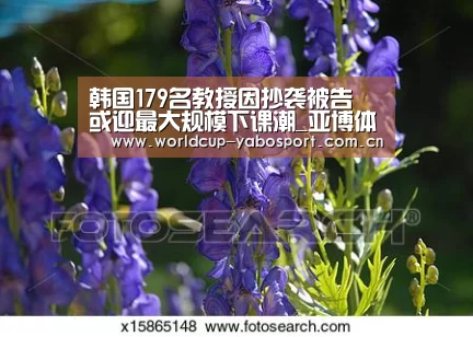 韩国179名教授因抄袭被告 或迎最大规模下课潮_亚博体育官网(图1) 亚博官网