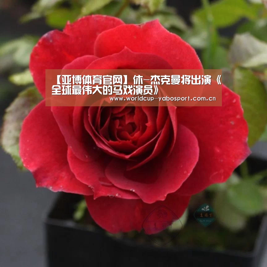 亚博官网