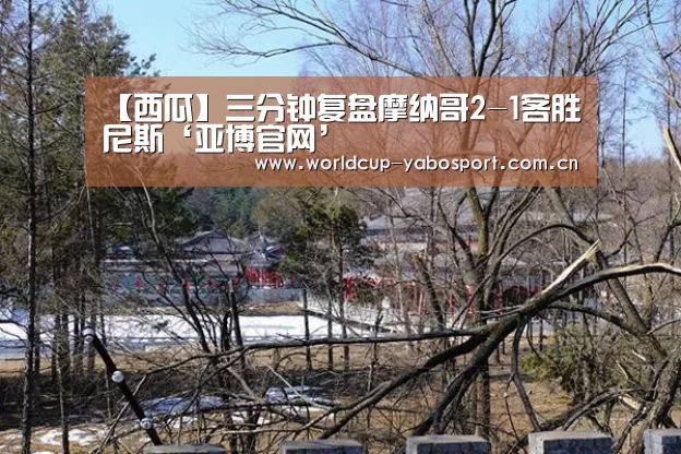 【西瓜】三分钟复盘摩纳哥2-1客胜尼斯‘亚博官网’(图3) 亚博官网