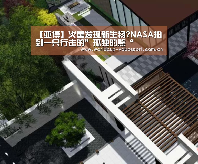 亚博体育官网
